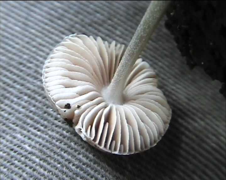 Winkel ( FRA ) 28.08.2004   2 Serie